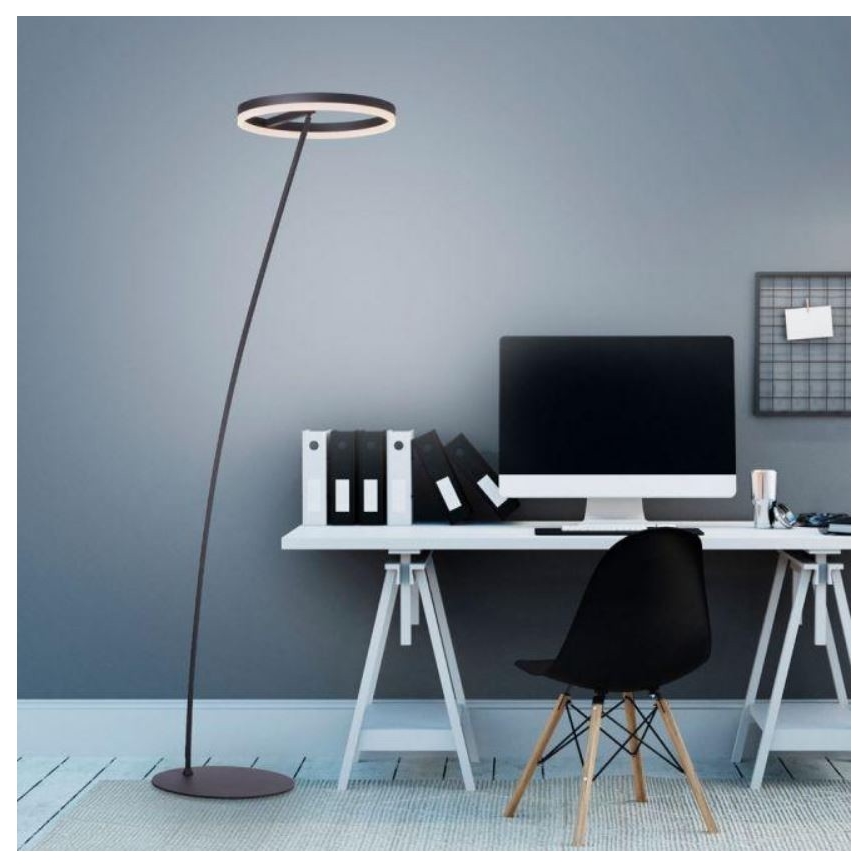 Paul Neuhaus 381-13 - LED Ściemniana lampa stojąca TITUS LED/19,5W/230V