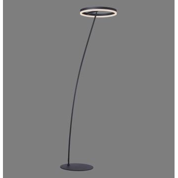 Paul Neuhaus 381-13 - LED Ściemniana lampa stojąca TITUS LED/19,5W/230V