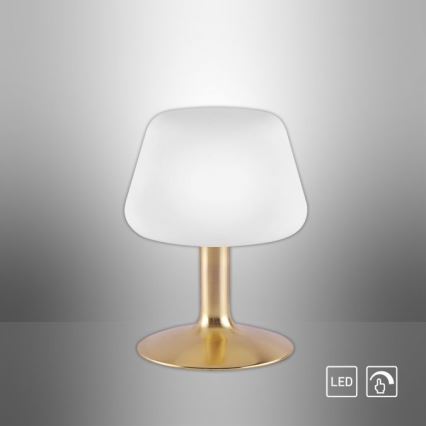 Paul Neuhaus 4078-60 - LED Ściemnialna dotykowa lampa stołowa TILL 1xG9/3W/230V mosiądz