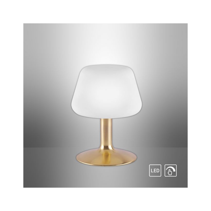 Paul Neuhaus 4078-60 - LED Ściemnialna dotykowa lampa stołowa TILL 1xG9/3W/230V mosiądz