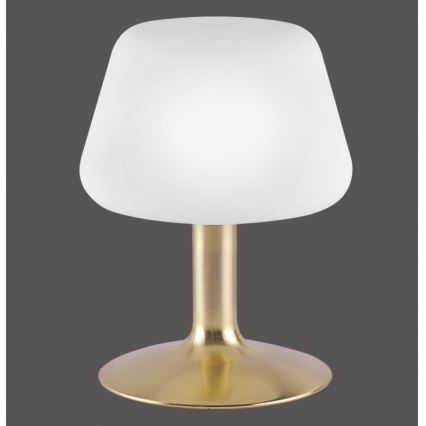 Paul Neuhaus 4078-60 - LED Ściemnialna dotykowa lampa stołowa TILL 1xG9/3W/230V mosiądz
