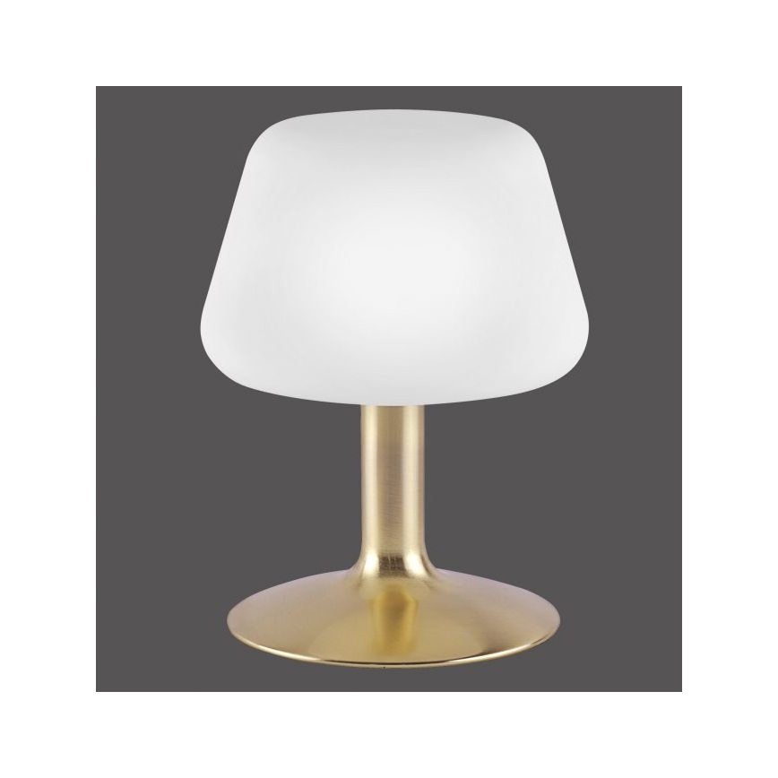 Paul Neuhaus 4078-60 - LED Ściemnialna dotykowa lampa stołowa TILL 1xG9/3W/230V mosiądz