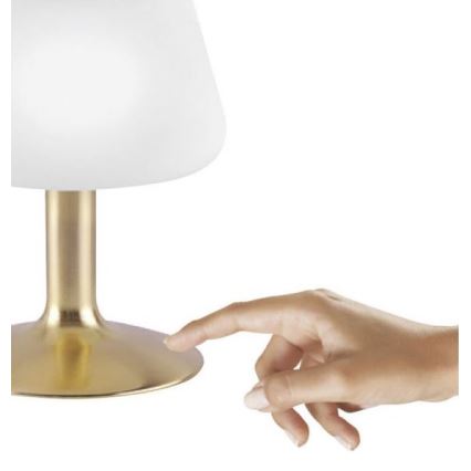Paul Neuhaus 4078-60 - LED Ściemnialna dotykowa lampa stołowa TILL 1xG9/3W/230V mosiądz
