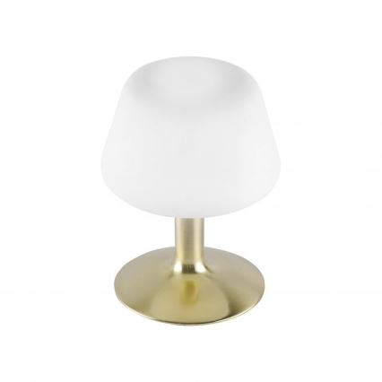 Paul Neuhaus 4078-60 - LED Ściemnialna dotykowa lampa stołowa TILL 1xG9/3W/230V mosiądz