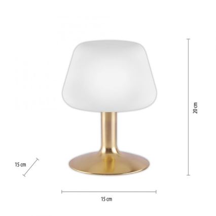 Paul Neuhaus 4078-60 - LED Ściemnialna dotykowa lampa stołowa TILL 1xG9/3W/230V mosiądz