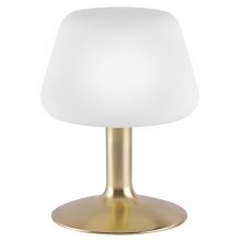 Paul Neuhaus 4078-60 - LED Ściemniana lampa stołowa TILL 1xG9/3W/230V mosiądz