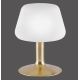 Paul Neuhaus 4078-60 - LED Ściemniana lampa stołowa TILL 1xG9/3W/230V mosiądz