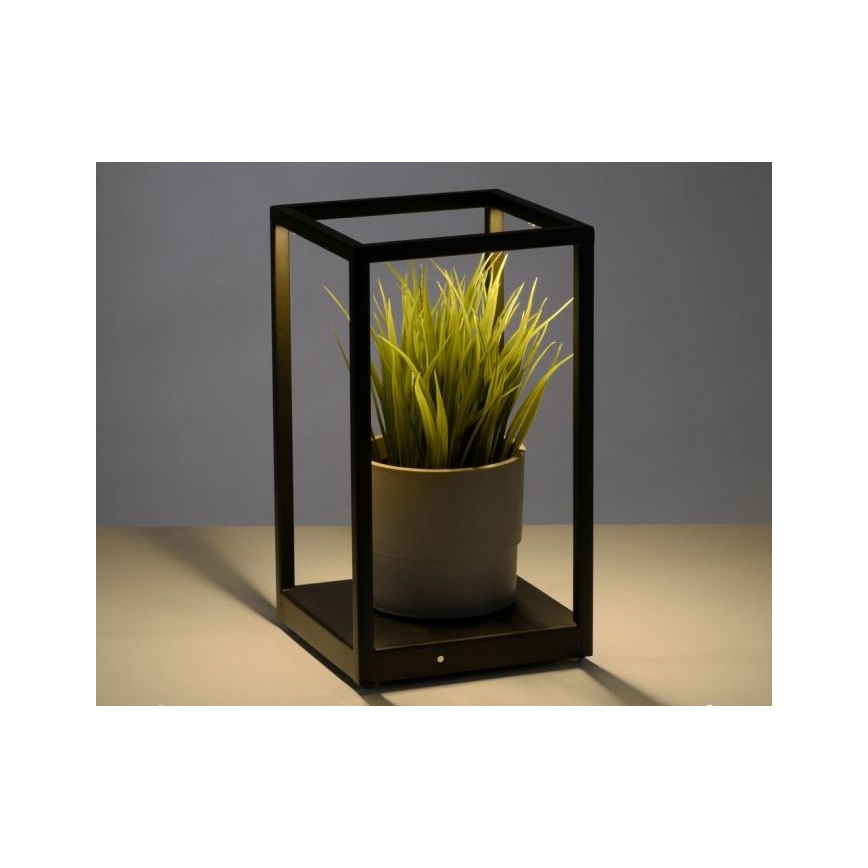 Paul Neuhaus 4401-18 - LED Ściemniana lampa stołowa CONTURA 2xLED/2,2W/230V