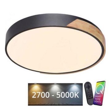 Paul Neuhaus 6071-18 - LED Plafon ściemnialny Q-PIATO LED/35W/230V śr. 51 cm 2700-5000K Wi-Fi + zdalne sterowanie