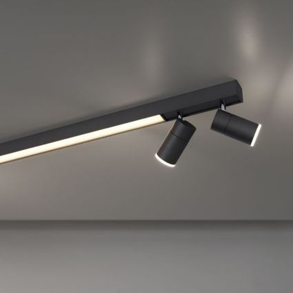 Paul Neuhaus 6121-13 - LED Oświetlenie punktowe ściemnialne PURE 4xLED/4W/230V + LED/9W 2700-5000K + zdalne sterowanie