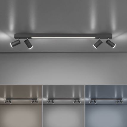 Paul Neuhaus 6121-13 - LED Oświetlenie punktowe ściemnialne PURE 4xLED/4W/230V + LED/9W 2700-5000K + zdalne sterowanie