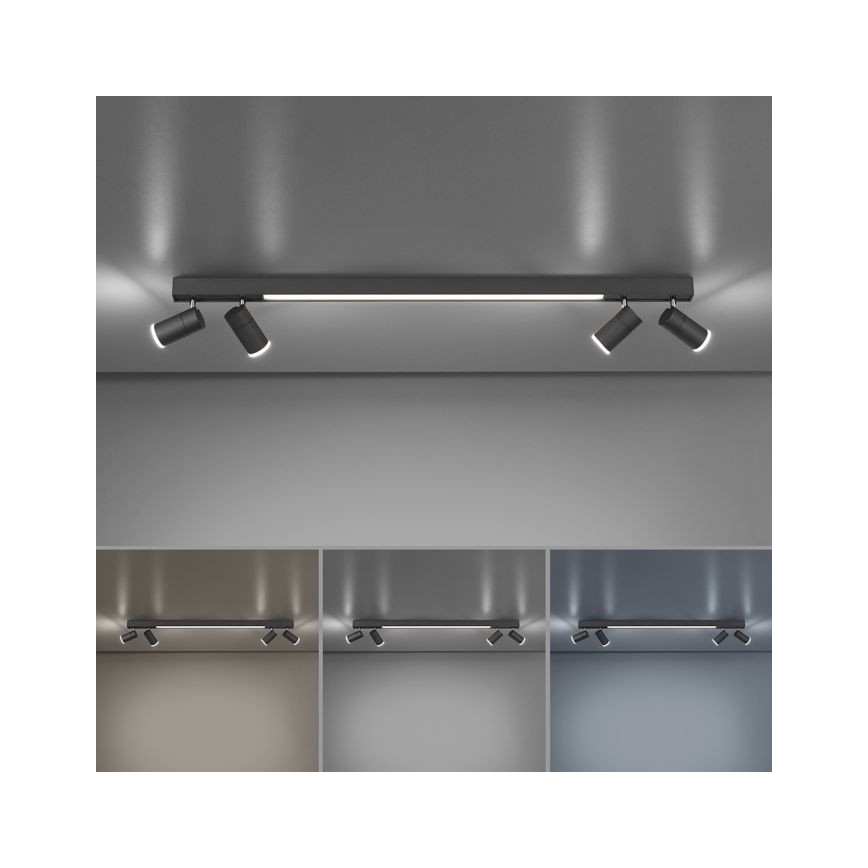 Paul Neuhaus 6121-13 - LED Oświetlenie punktowe ściemnialne PURE 4xLED/4W/230V + LED/9W 2700-5000K + zdalne sterowanie