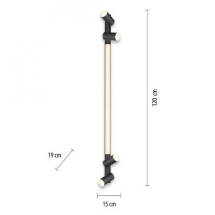 Paul Neuhaus 6121-13 - LED Oświetlenie punktowe ściemnialne PURE 4xLED/4W/230V + LED/9W 2700-5000K + zdalne sterowanie