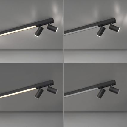 Paul Neuhaus 6121-13 - LED Oświetlenie punktowe ściemnialne PURE 4xLED/4W/230V + LED/9W 2700-5000K + zdalne sterowanie