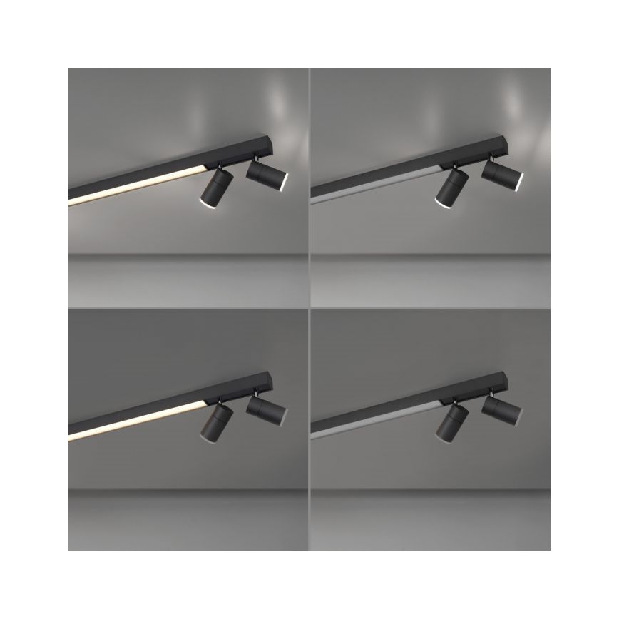 Paul Neuhaus 6121-13 - LED Oświetlenie punktowe ściemnialne PURE 4xLED/4W/230V + LED/9W 2700-5000K + zdalne sterowanie