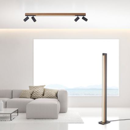 Paul Neuhaus 6121-79 - LED Oświetlenie punktowe ściemnialne PURE 4xLED/4W/230V + LED/9W 2700-5000K + zdalne sterowanie