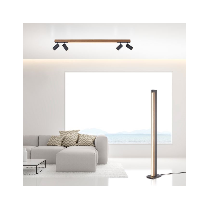 Paul Neuhaus 6121-79 - LED Oświetlenie punktowe ściemnialne PURE 4xLED/4W/230V + LED/9W 2700-5000K + zdalne sterowanie