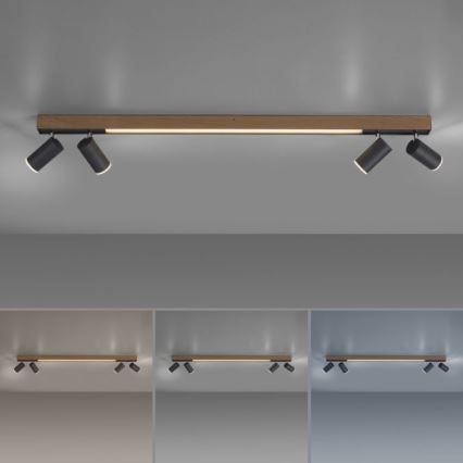 Paul Neuhaus 6121-79 - LED Oświetlenie punktowe ściemnialne PURE 4xLED/4W/230V + LED/9W 2700-5000K + zdalne sterowanie