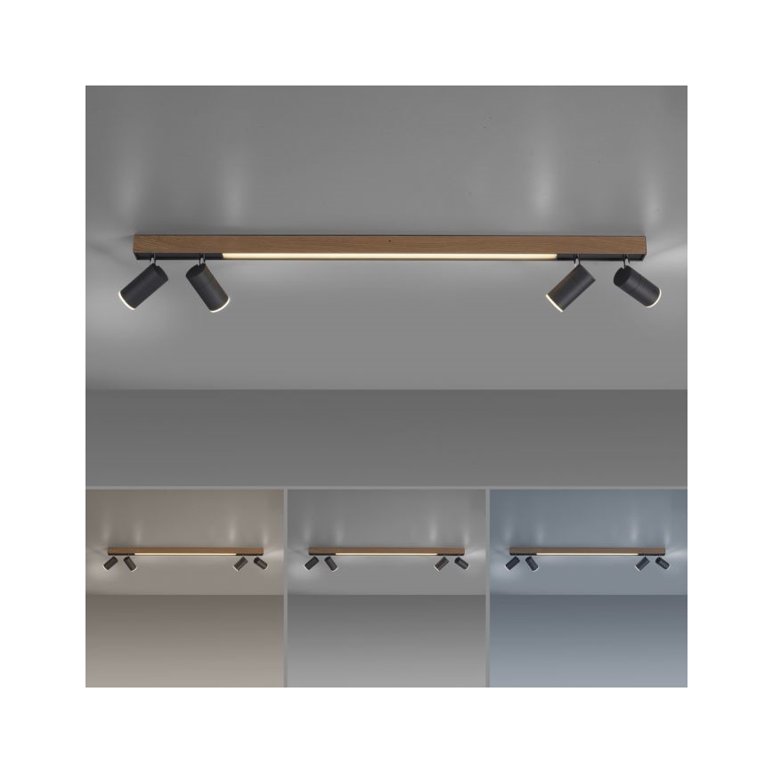 Paul Neuhaus 6121-79 - LED Oświetlenie punktowe ściemnialne PURE 4xLED/4W/230V + LED/9W 2700-5000K + zdalne sterowanie