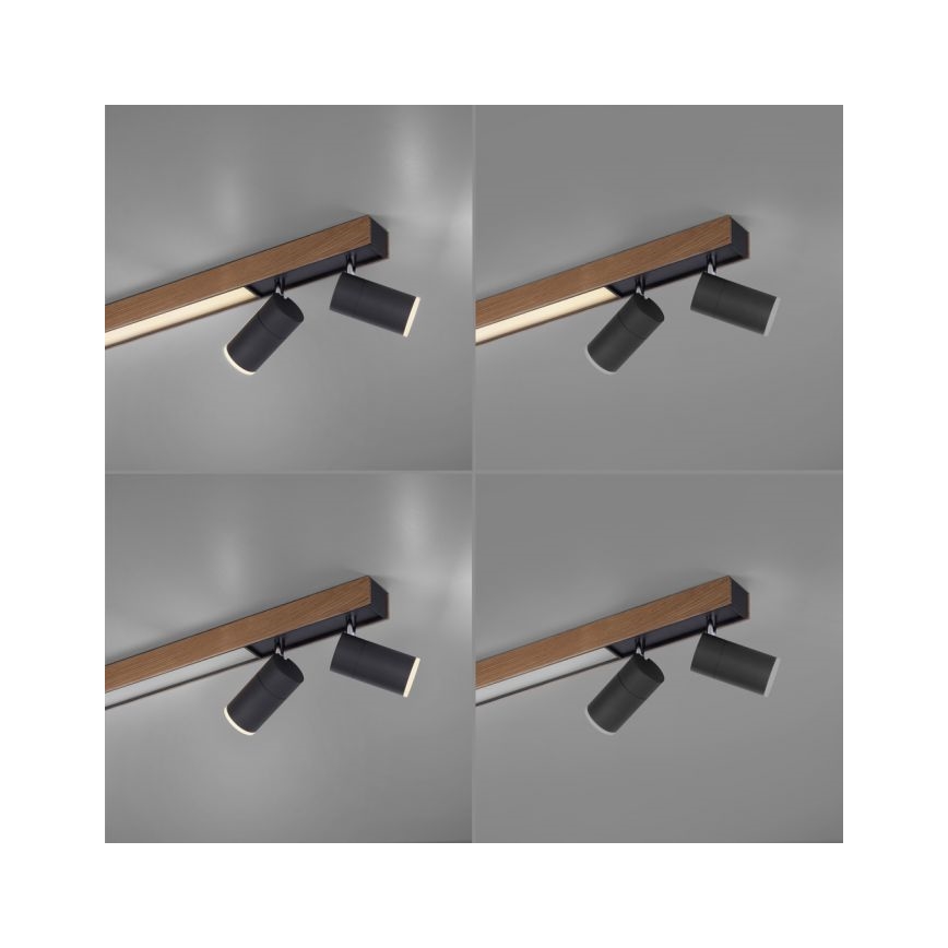 Paul Neuhaus 6121-79 - LED Oświetlenie punktowe ściemnialne PURE 4xLED/4W/230V + LED/9W 2700-5000K + zdalne sterowanie
