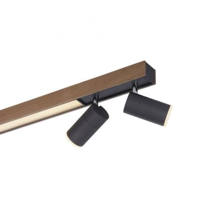 Paul Neuhaus 6121-79 - LED Oświetlenie punktowe ściemnialne PURE 4xLED/4W/230V + LED/9W 2700-5000K + zdalne sterowanie