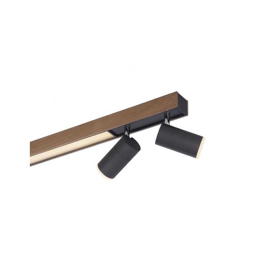 Paul Neuhaus 6121-79 - LED Oświetlenie punktowe ściemnialne PURE 4xLED/4W/230V + LED/9W 2700-5000K + zdalne sterowanie