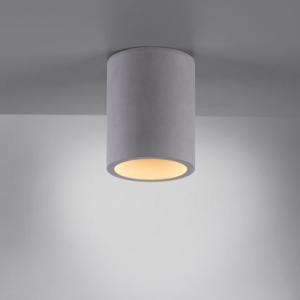 Paul Neuhaus 6160-22 - Oświetlenie punktowe ETON 1xGU10/10W/230V beton