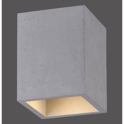 Paul Neuhaus 6161-22 - Oświetlenie punktowe ETON 1xGU10/10W/230V beton
