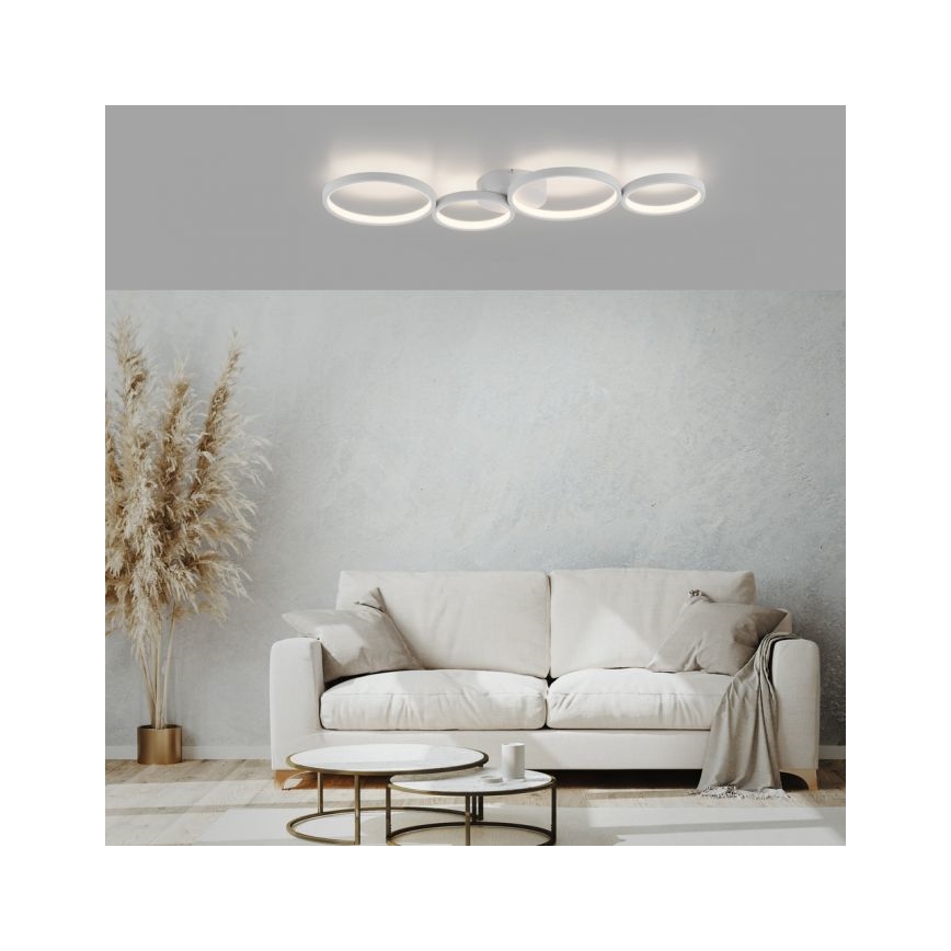 Paul Neuhaus 6183-16 - LED Plafon ściemnialny KIRINGE LED/26W/230V