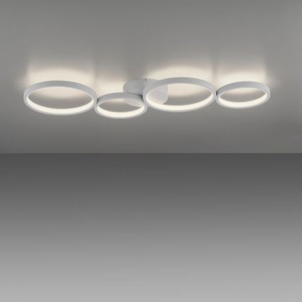 Paul Neuhaus 6183-16 - LED Plafon ściemnialny KIRINGE LED/26W/230V