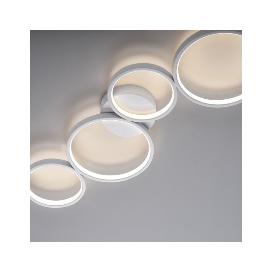 Paul Neuhaus 6183-16 - LED Plafon ściemnialny KIRINGE LED/26W/230V