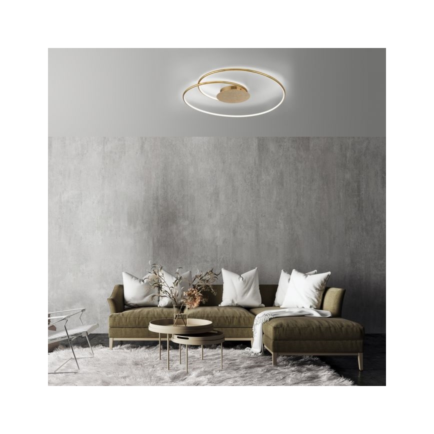Paul Neuhaus 6189-12 - LED Plafon ściemnialny NASTRO LED/26W/230V