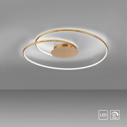 Paul Neuhaus 6189-12 - LED Plafon ściemnialny NASTRO LED/26W/230V