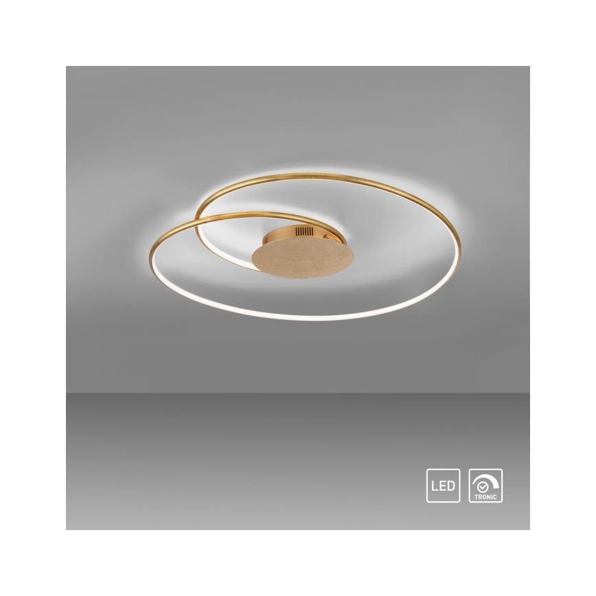 Paul Neuhaus 6189-12 - LED Plafon ściemnialny NASTRO LED/26W/230V