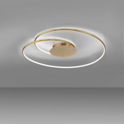 Paul Neuhaus 6189-12 - LED Plafon ściemnialny NASTRO LED/26W/230V