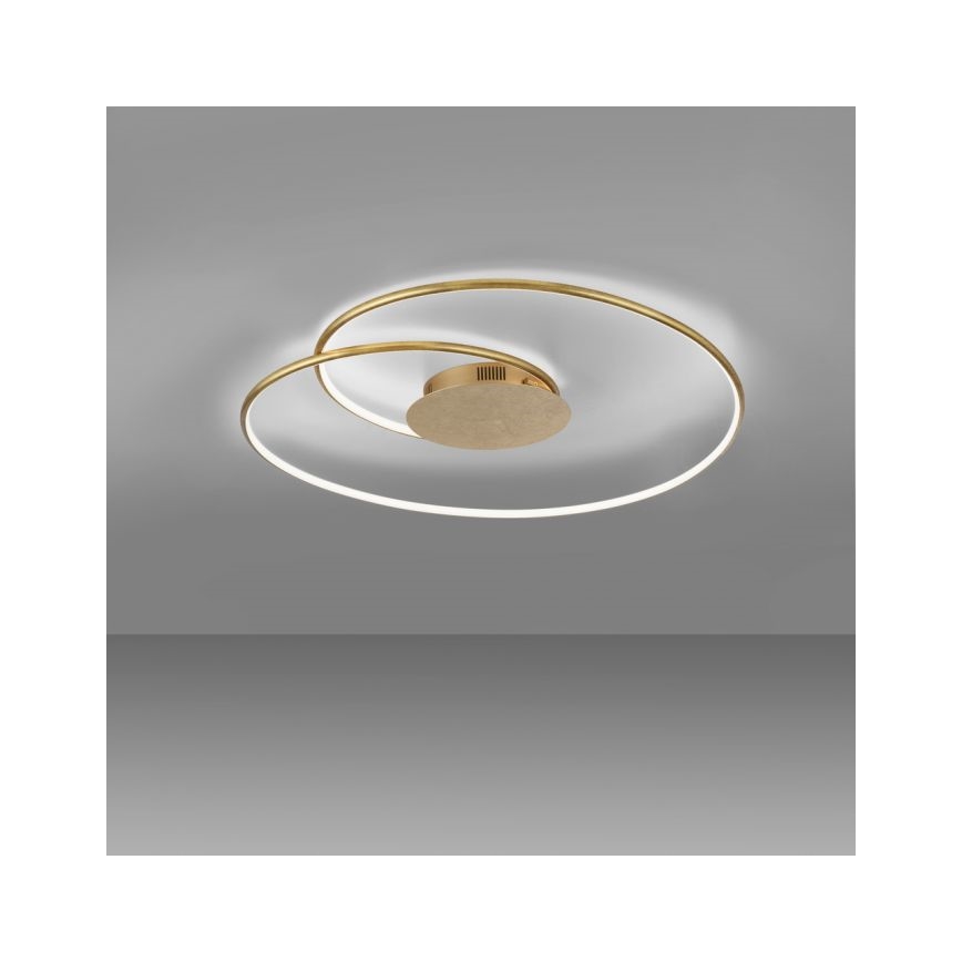 Paul Neuhaus 6189-12 - LED Plafon ściemnialny NASTRO LED/26W/230V
