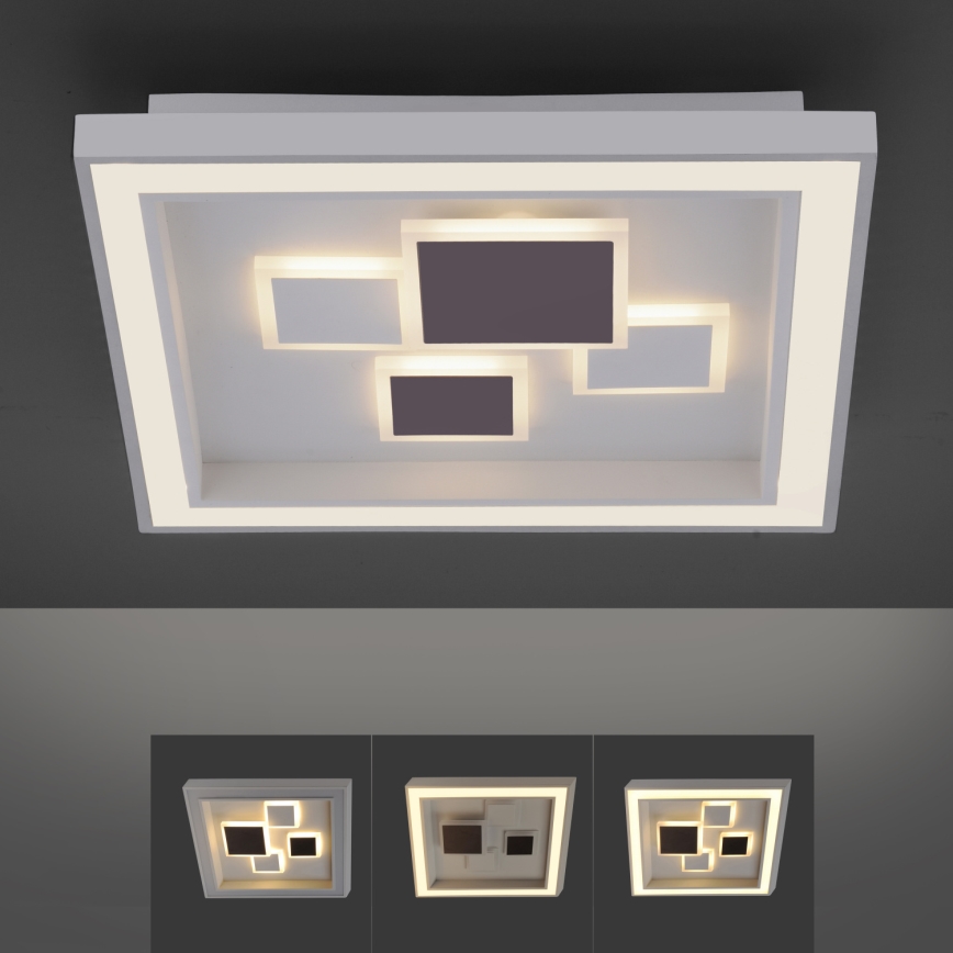 Paul Neuhaus 6283-16 - LED Plafon ściemnialny ELIZA LED/30W/230V + LED/18,5W