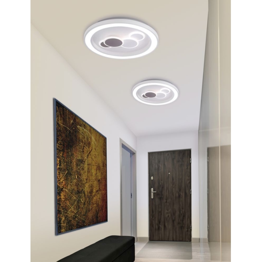 Paul Neuhaus 6284-16 - LED Plafon ELIZA LED/55,5W/230V śr. 60 cm