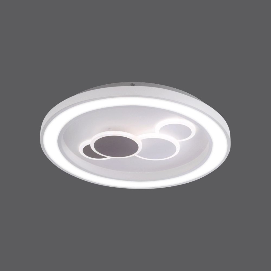 Paul Neuhaus 6284-16 - LED Plafon ELIZA LED/55,5W/230V śr. 60 cm
