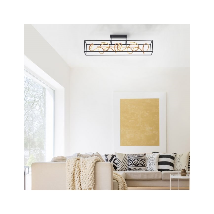 Paul Neuhaus 6473-18 - LED Żyrandol ściemnialny SELINA 4xLED/10,2W/230V