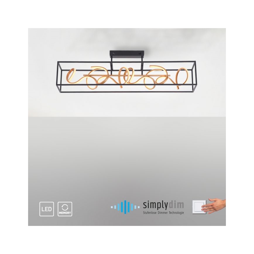 Paul Neuhaus 6473-18 - LED Żyrandol ściemnialny SELINA 4xLED/10,2W/230V
