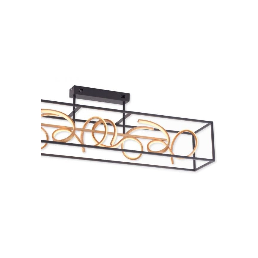 Paul Neuhaus 6473-18 - LED Żyrandol ściemnialny SELINA 4xLED/10,2W/230V