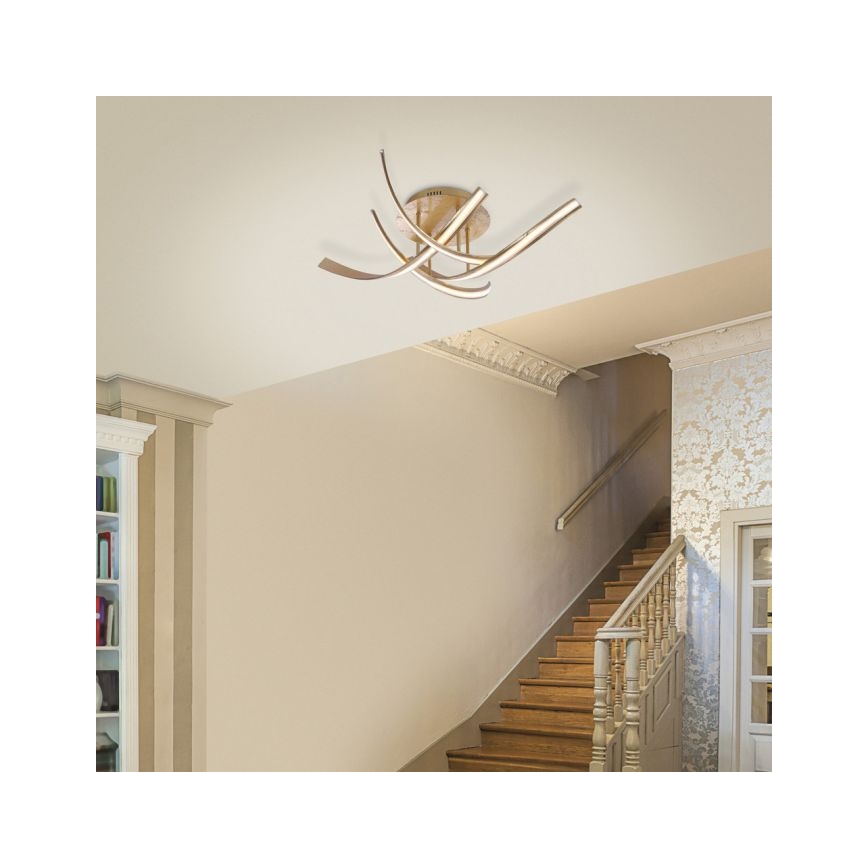 Paul Neuhaus 6474-12 - LED Ściemnialny żyrandol natynkowy LINDA 4xLED/7W/230V