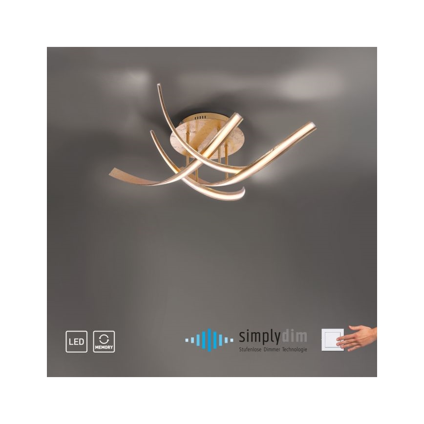 Paul Neuhaus 6474-12 - LED Ściemnialny żyrandol natynkowy LINDA 4xLED/7W/230V