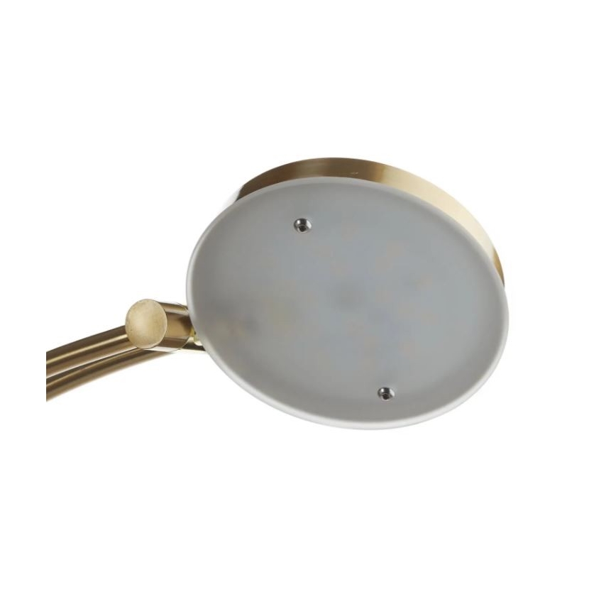 Paul Neuhaus 655-60 - LED ściemnialna lampa stojąca ALFRED LED/28W/230V+LED/4W/230V mosiądz