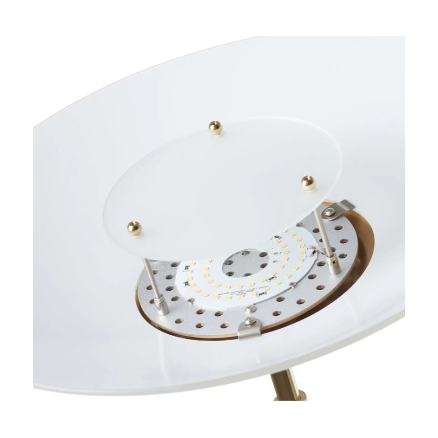 Paul Neuhaus 655-60 - LED ściemnialna lampa stojąca ALFRED LED/28W/230V+LED/4W/230V mosiądz