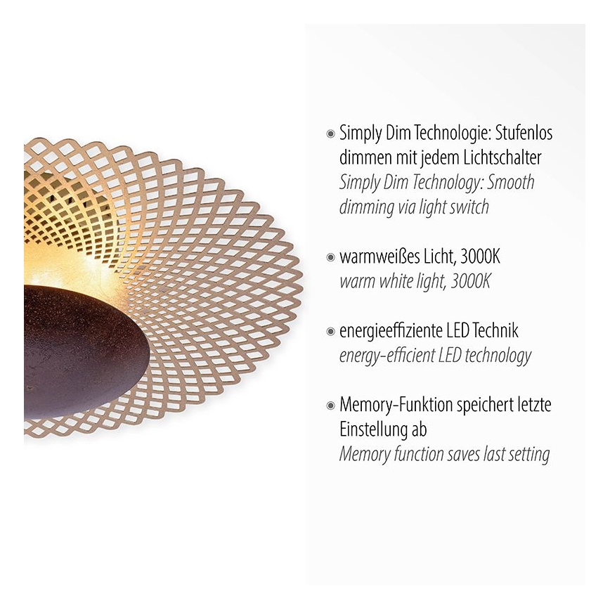 Paul Neuhaus 6551-48 - LED Ściemniany plafon NEVIS LED/18W/230V