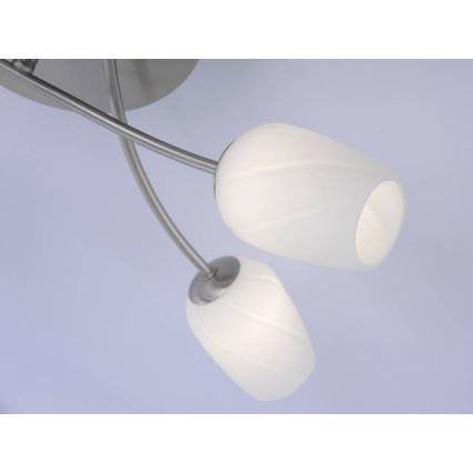 Paul Neuhaus 6564-55 - LED Żyrandol natynkowy ANASTASIA 8xLED/3W/230V