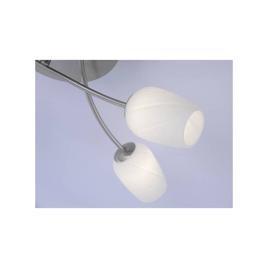 Paul Neuhaus 6564-55 - LED Żyrandol natynkowy ANASTASIA 8xLED/3W/230V