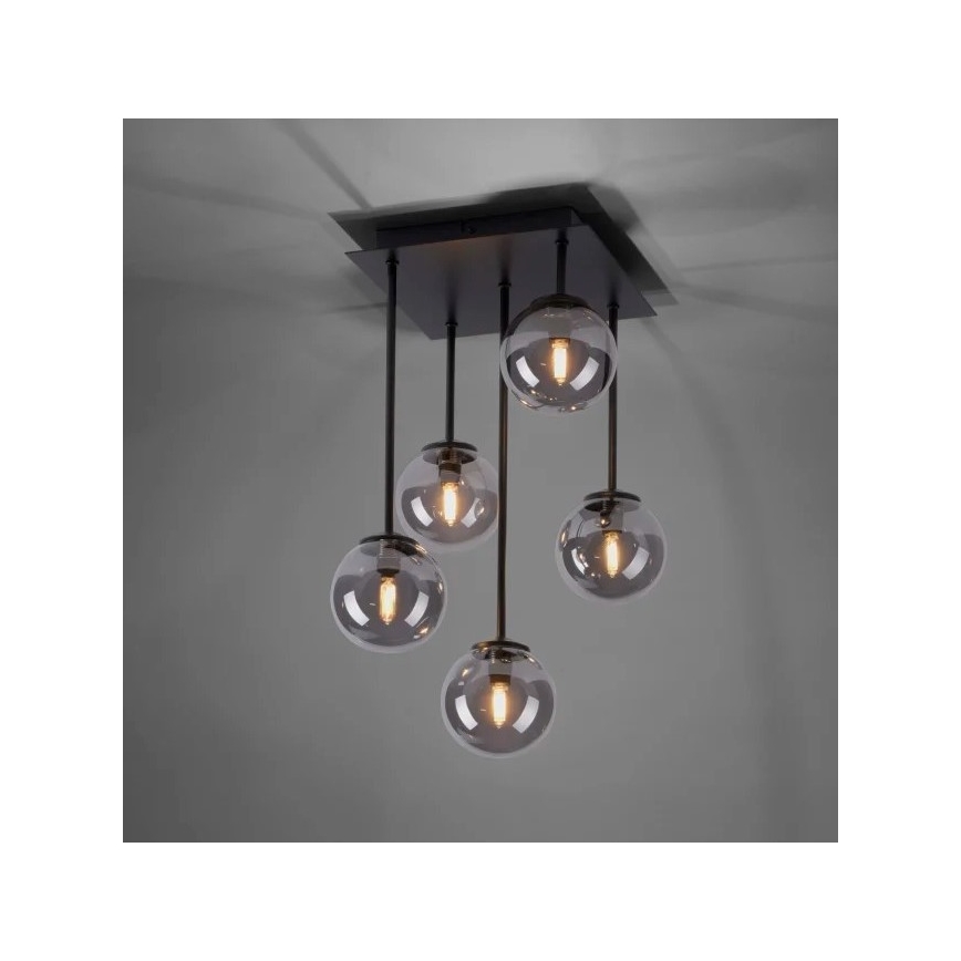 Paul Neuhaus 6719-18 - LED Żyrandol na drążku WIDOW 5xG9/3W/230V